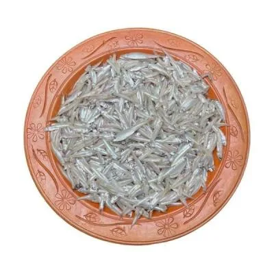 কাচকি মাছ